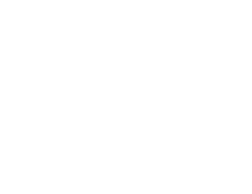 logo-blanco.png